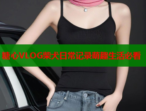 糖心VLOG柴犬日常记录萌趣生活必看  第2张