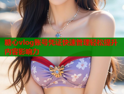 糖心vlog账号凭证快速管理轻松提升内容影响力